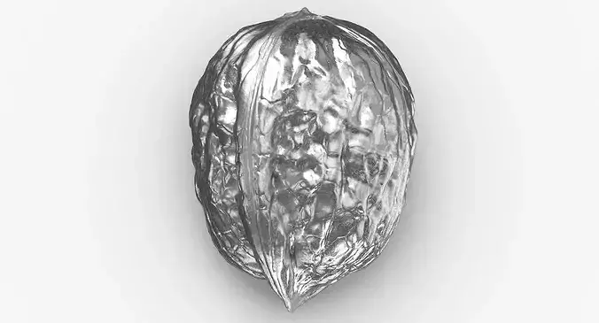 Walnut 04 Silver 3D model 6