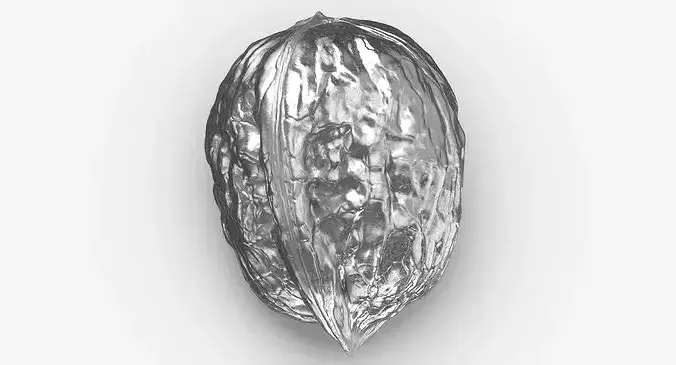 Walnut 04 Silver 3D model 3