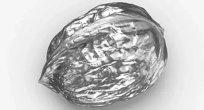 Walnut 04 Silver 3D model 4