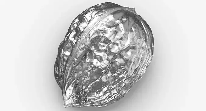 Walnut 04 Silver 3D model 2