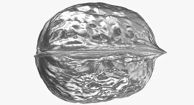Walnut 04 Silver 3D model 7