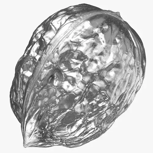 Walnut 04 Silver 3D model