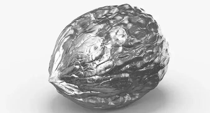 Walnut 04 Silver 3D model 5
