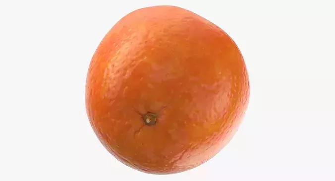 Red Orange Half Cut 3D model 7
