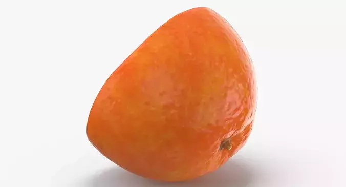 Red Orange Half Cut 3D model 5