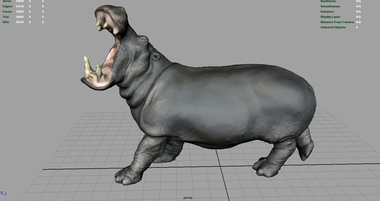 Hippopotamus Low-poly 3D model_12