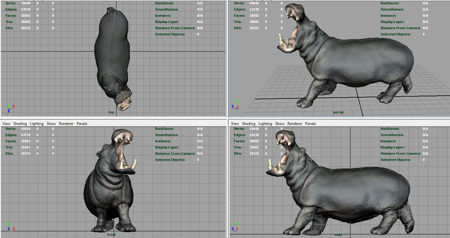 Hippopotamus Low-poly 3D model_13
