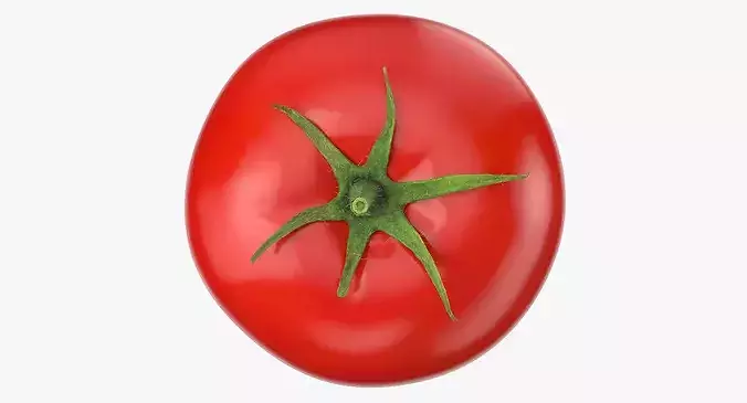Tomato With Leaf 3D model 7