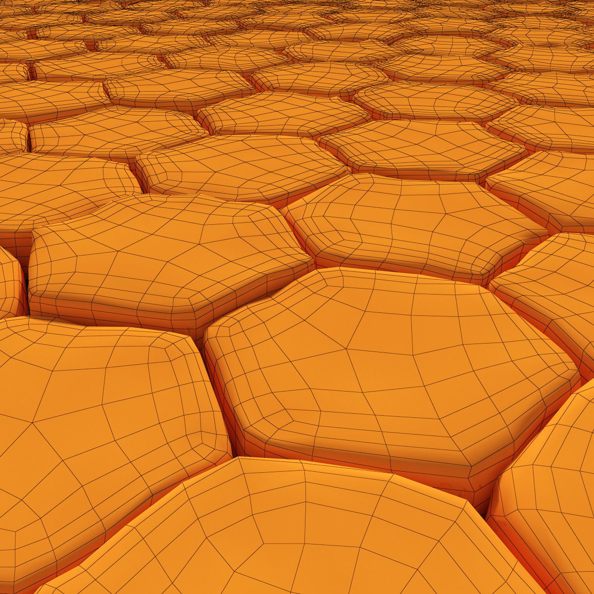 Paving old hexagon 3D model_3