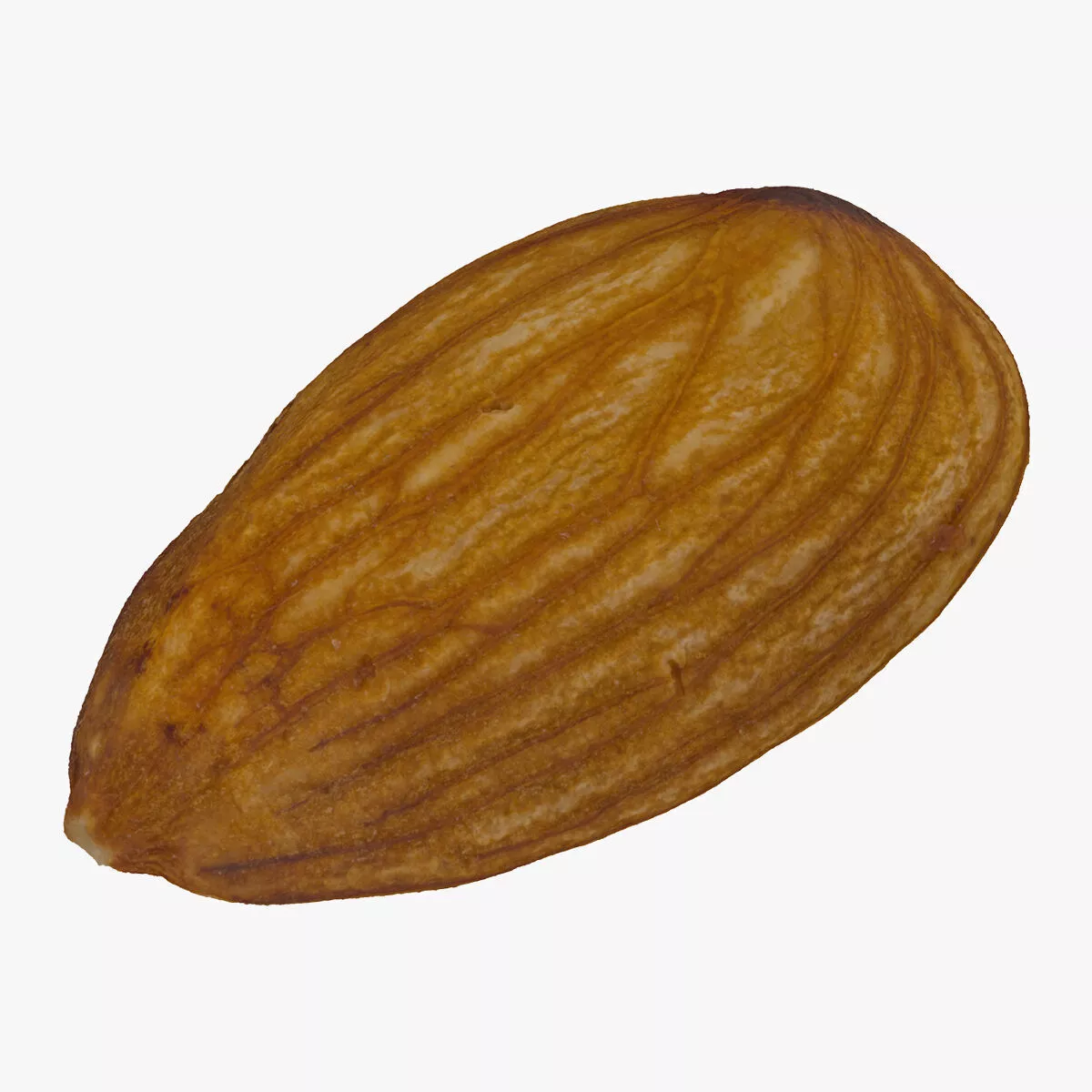 Almond Nut 01 RAW SCAN 3D model