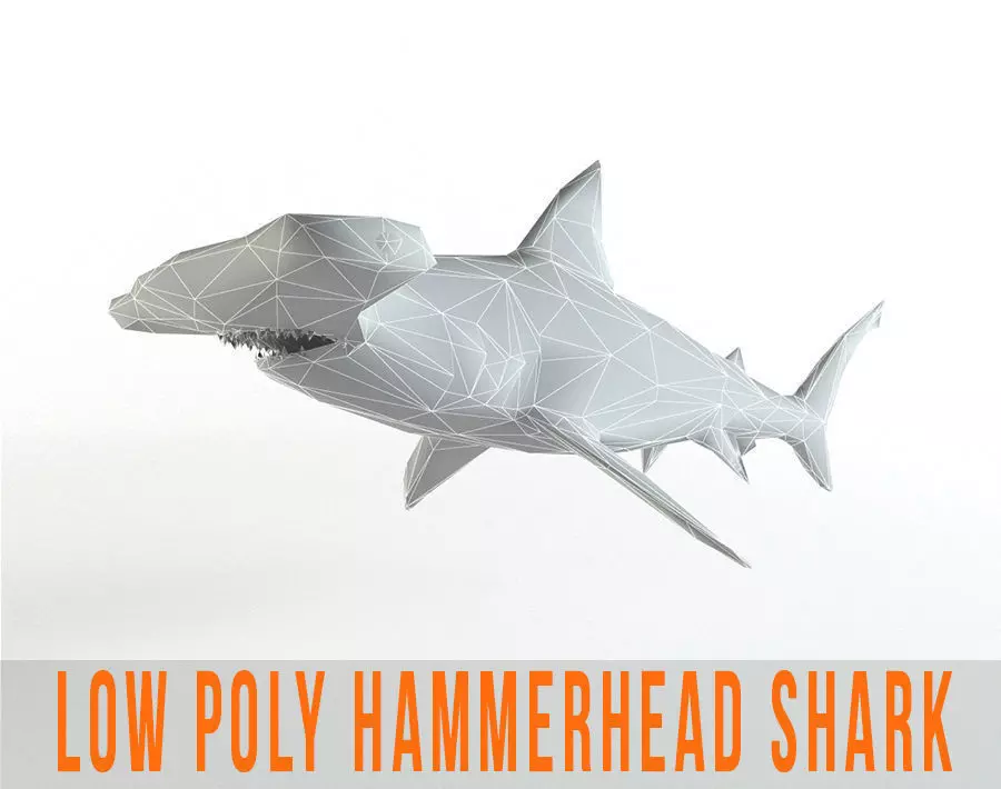 Hammerhead Shark Low Poly Predator Jaws Lowpoly Low-poly 3D model
