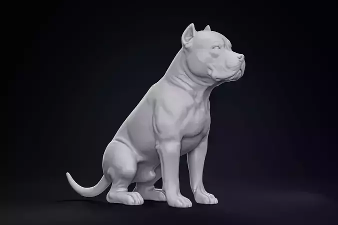 American Bully Pitbull Muscle Dog