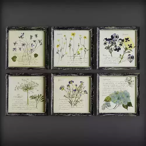 Picture Frames Low-poly 3D model