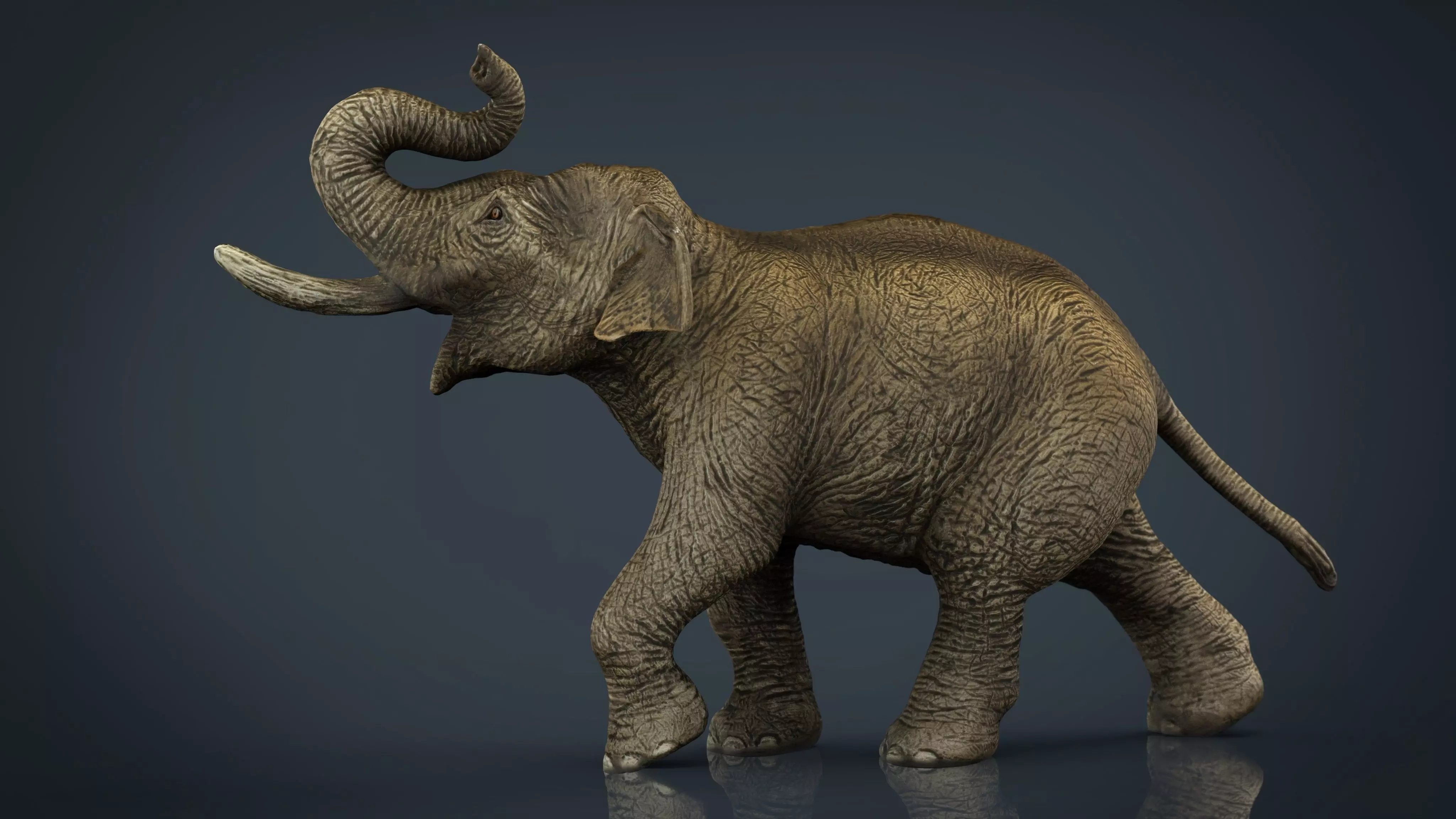 Asian Elephant Low-poly 3D model_0