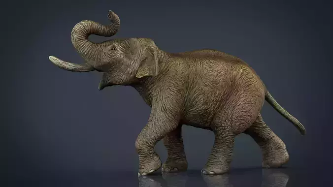 Asian Elephant Low-poly 3D model