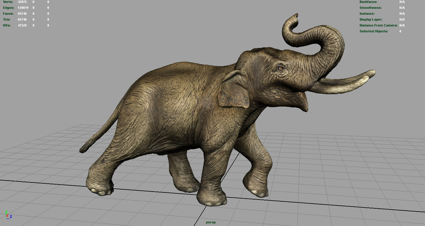 Asian Elephant Low-poly 3D model_6
