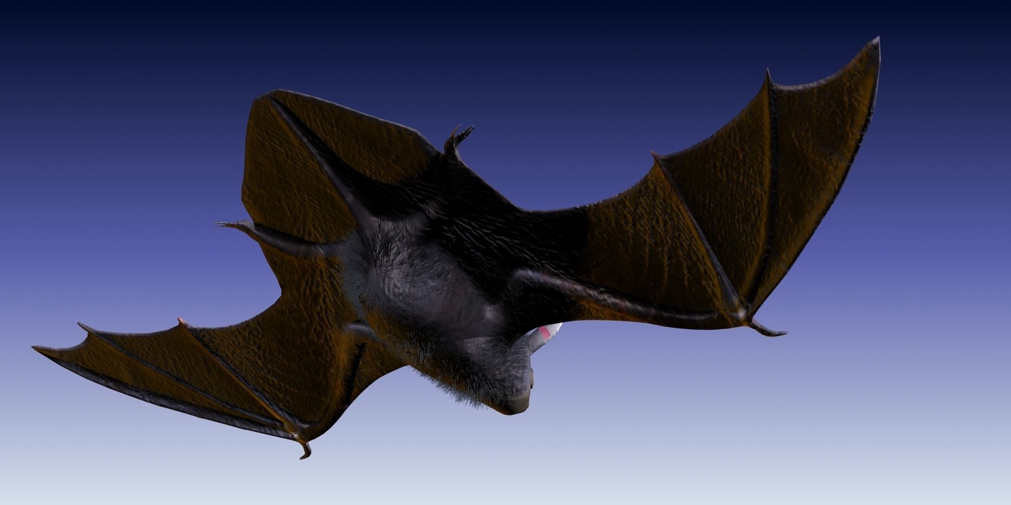 3D Bat model flying 3D model_13