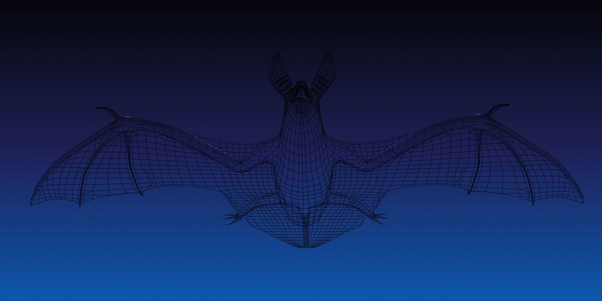 3D Bat model flying 3D model_10