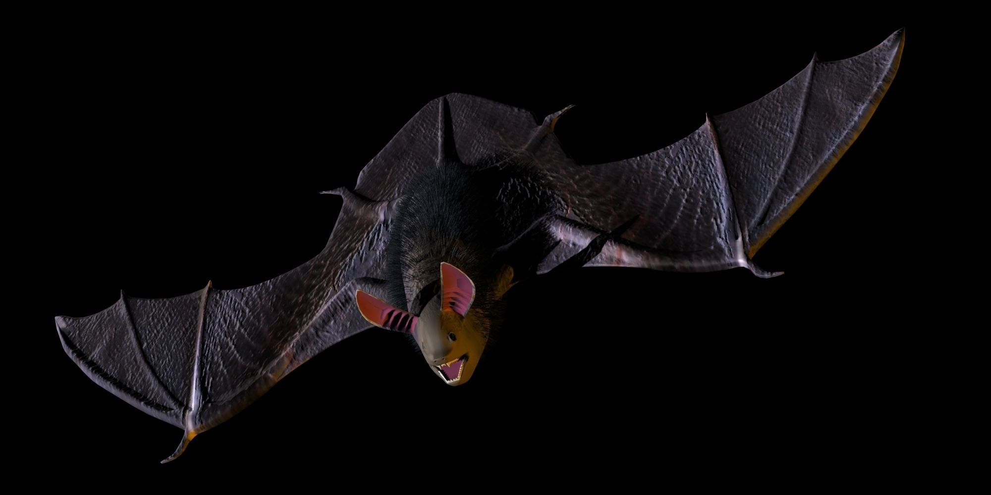 3D Bat model flying 3D model_5