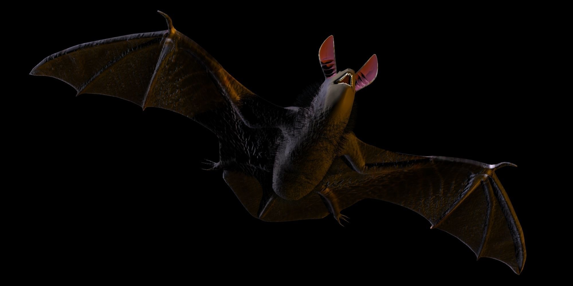 3D Bat model flying 3D model_2