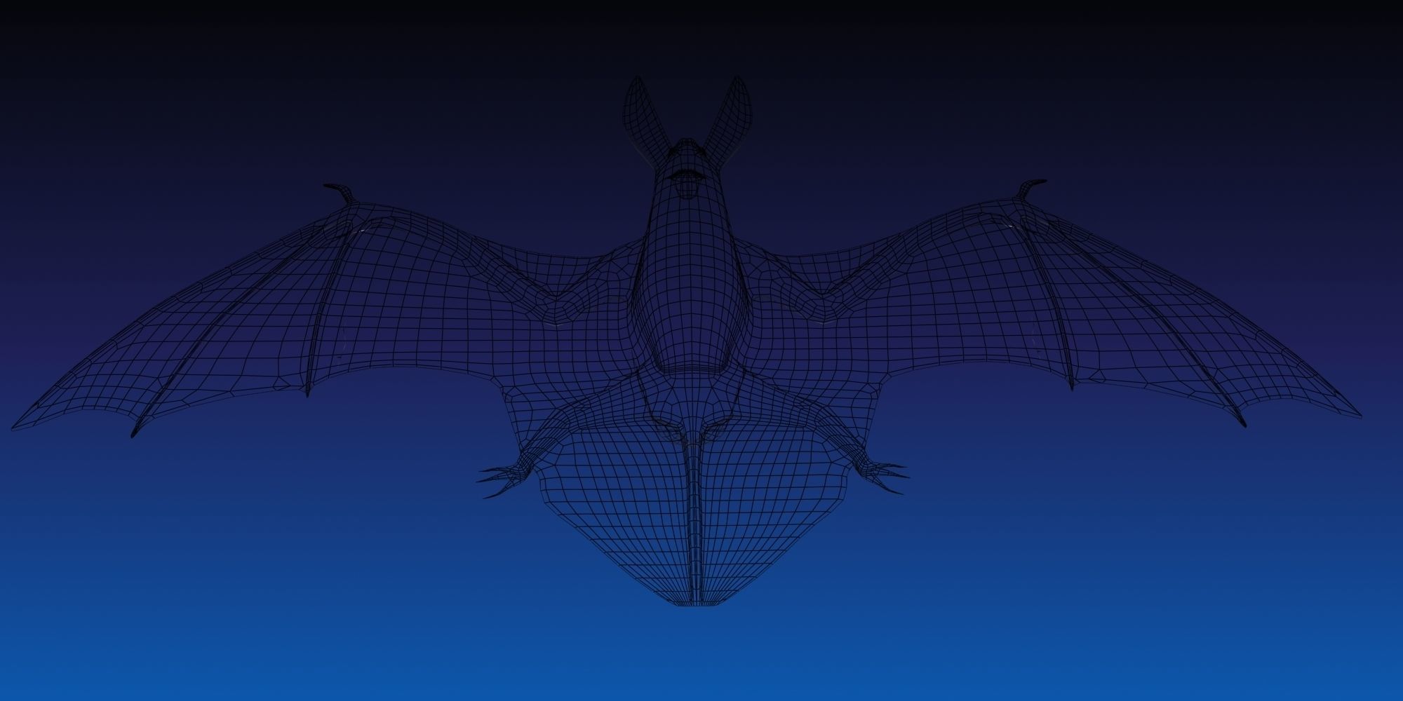 3D Bat model flying 3D model_9