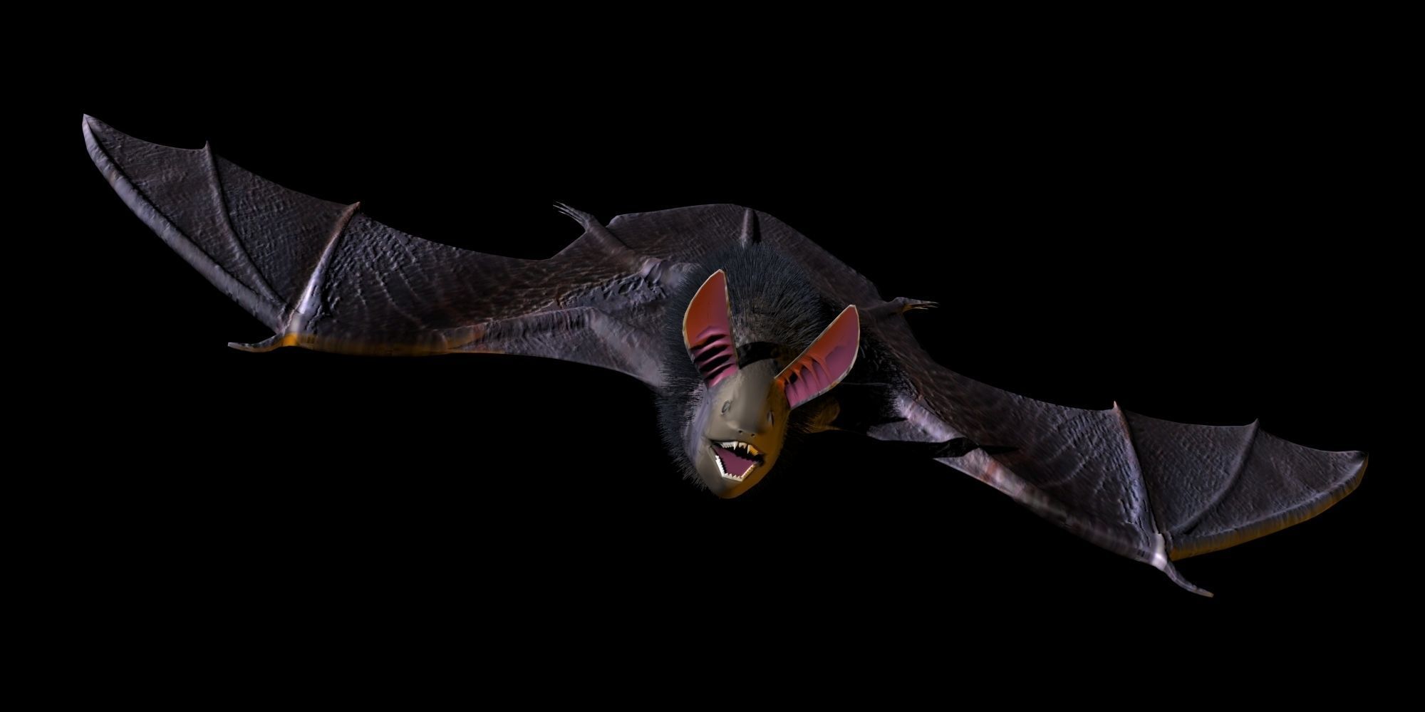 3D Bat model flying 3D model_1