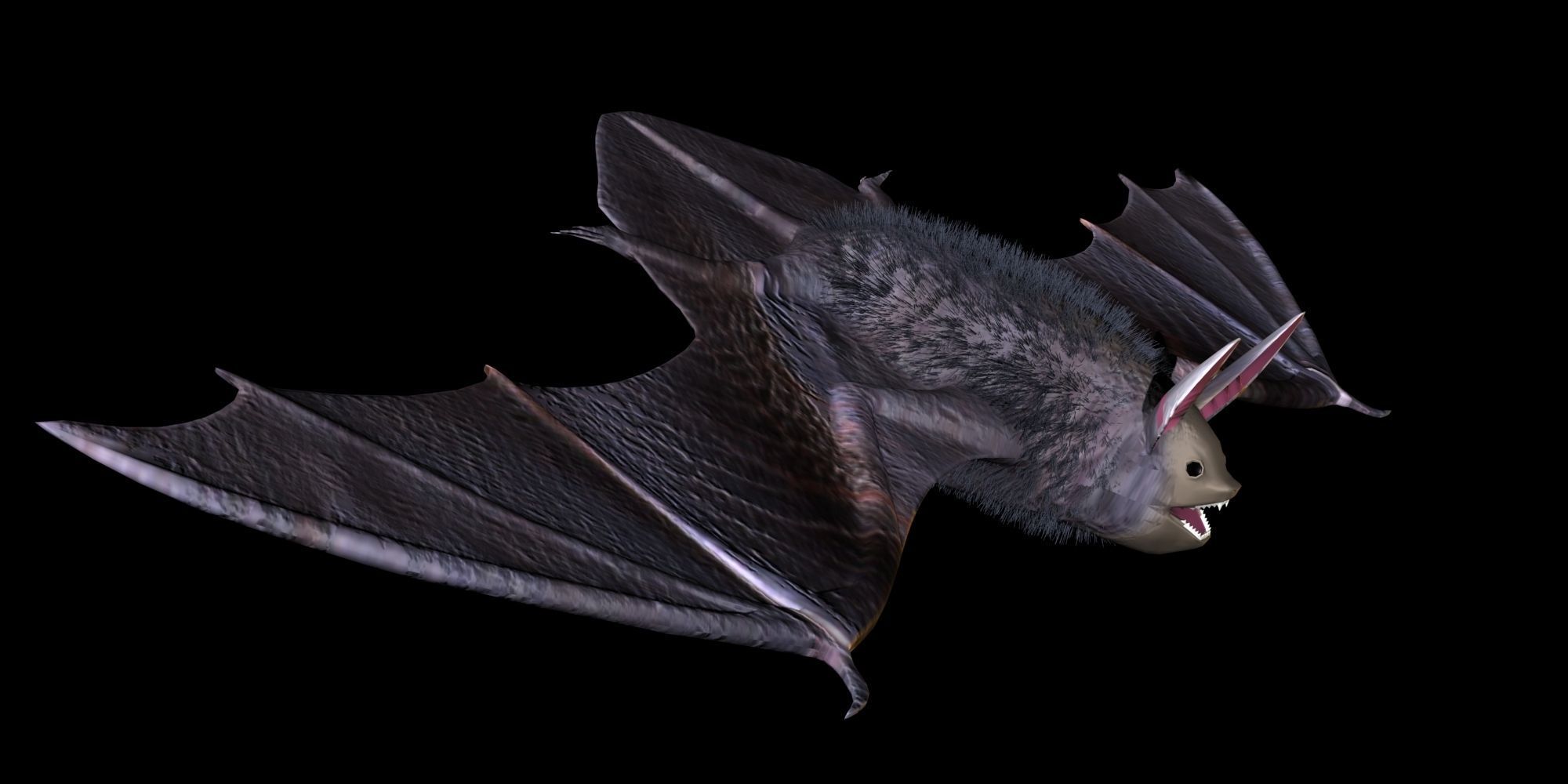 3D Bat model flying 3D model_4