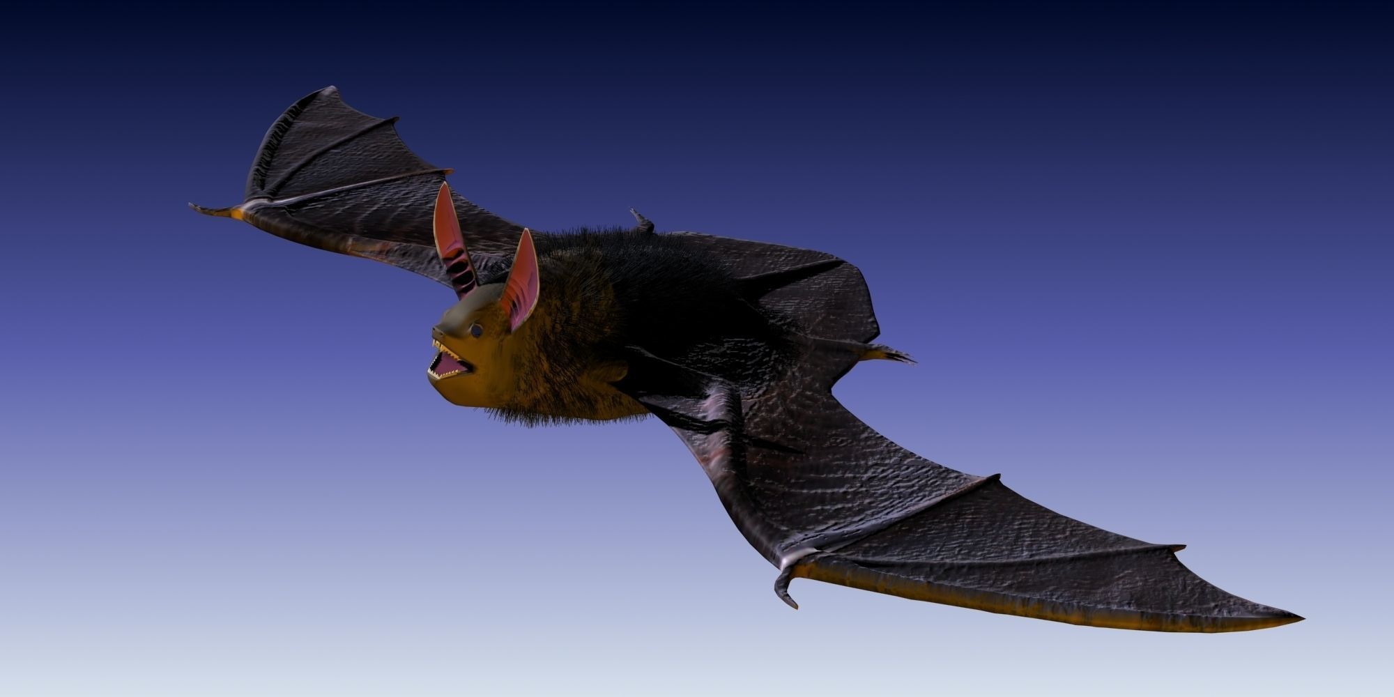 3D Bat model flying 3D model_12