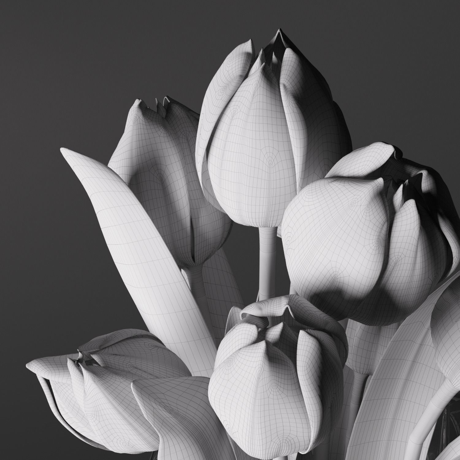 Flowers Bouquet of tulips 3D model_4