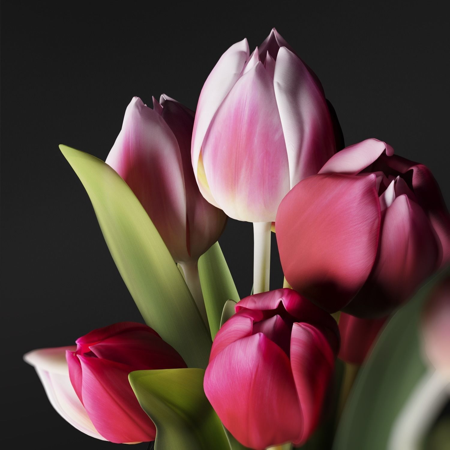 Flowers Bouquet of tulips 3D model_1