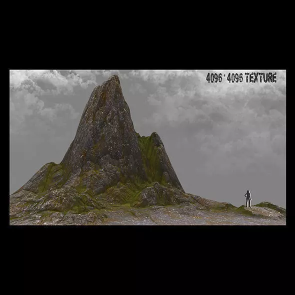 rock moss Low-poly 3D model_0