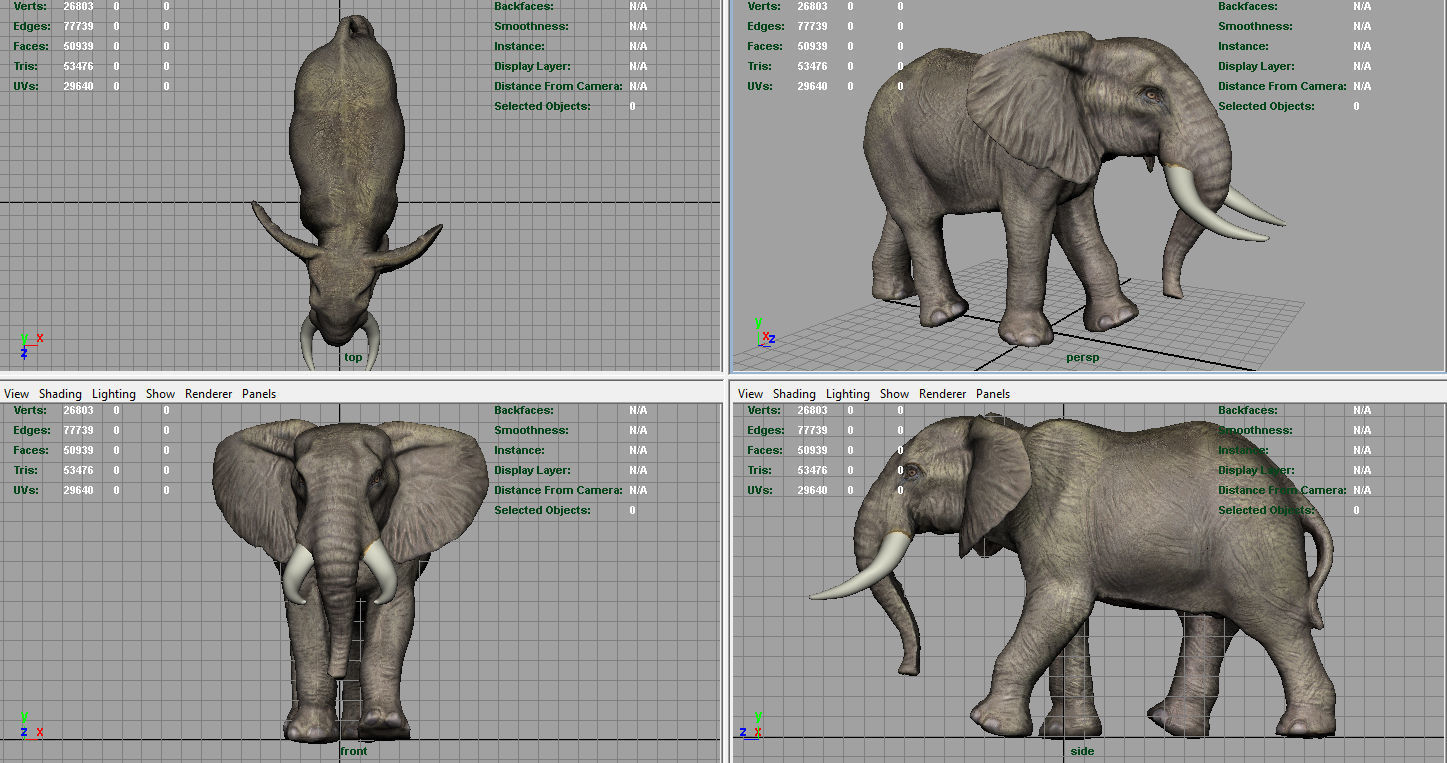 African Elephant Low-poly 3D model_10