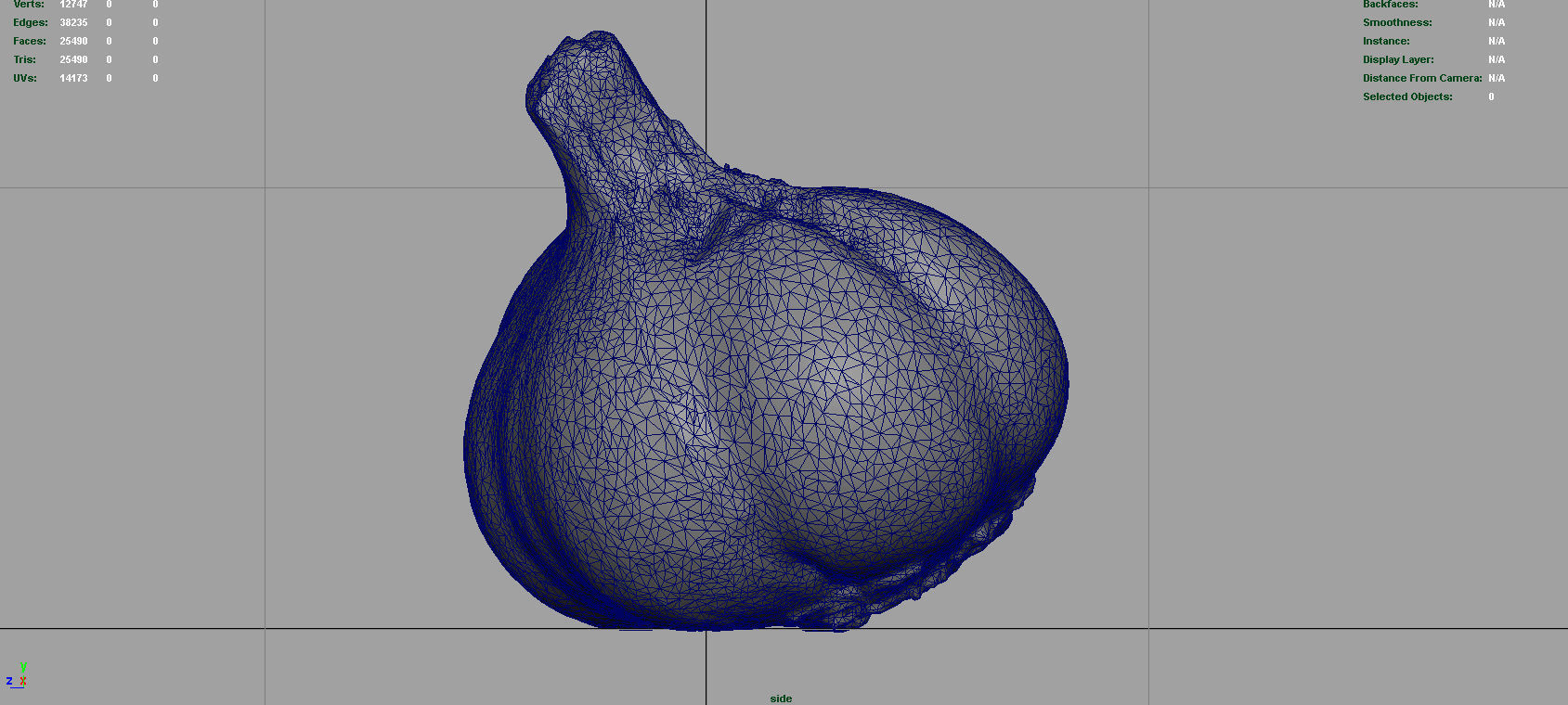 Open garlic Low-poly 3D model_10