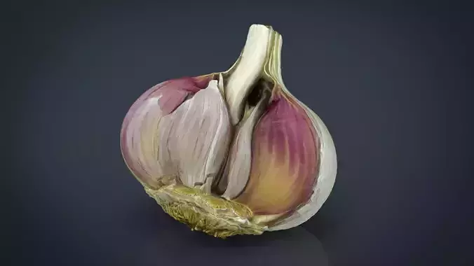 Open garlic Low-poly 3D model
