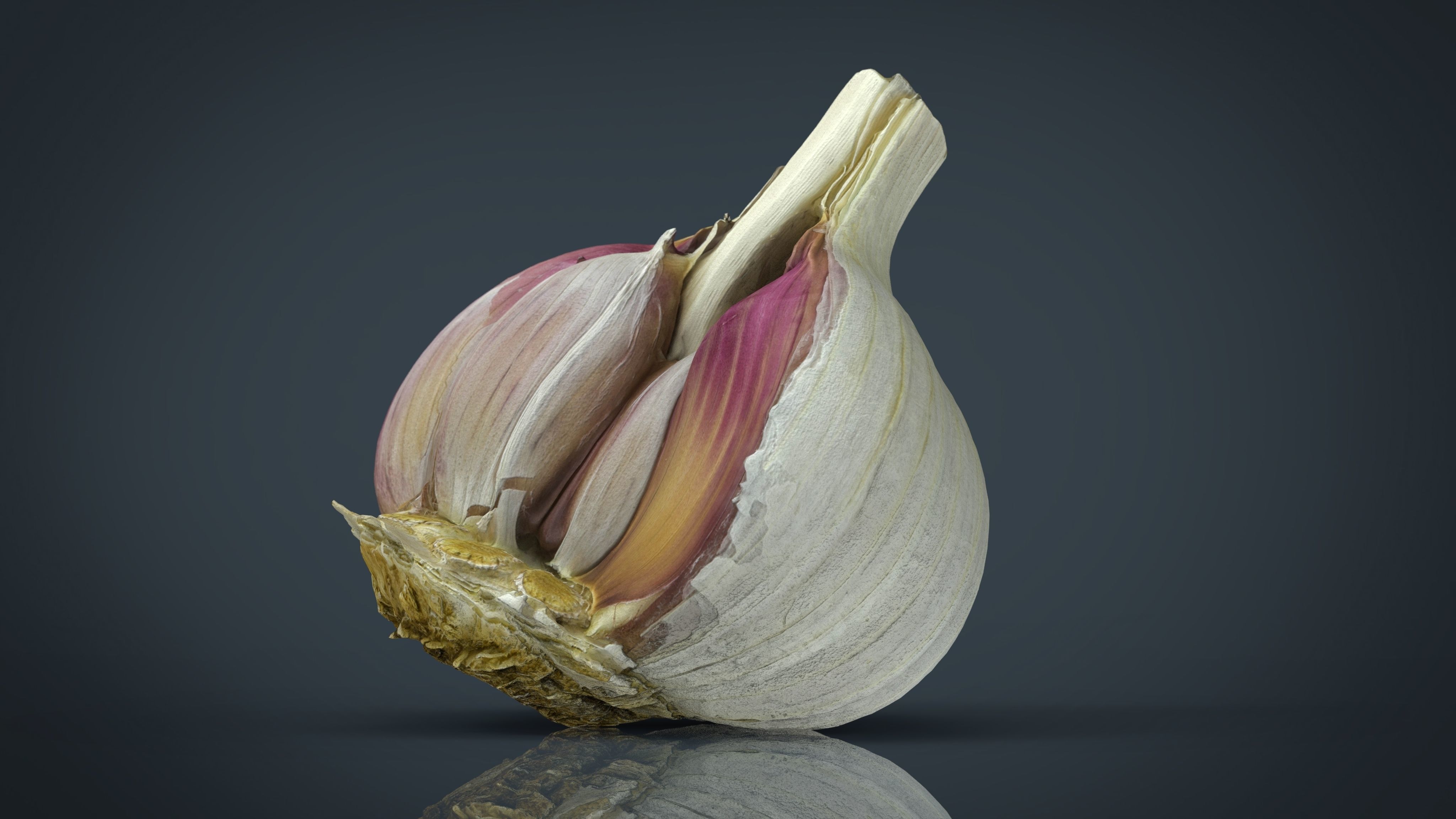 Open garlic Low-poly 3D model_12