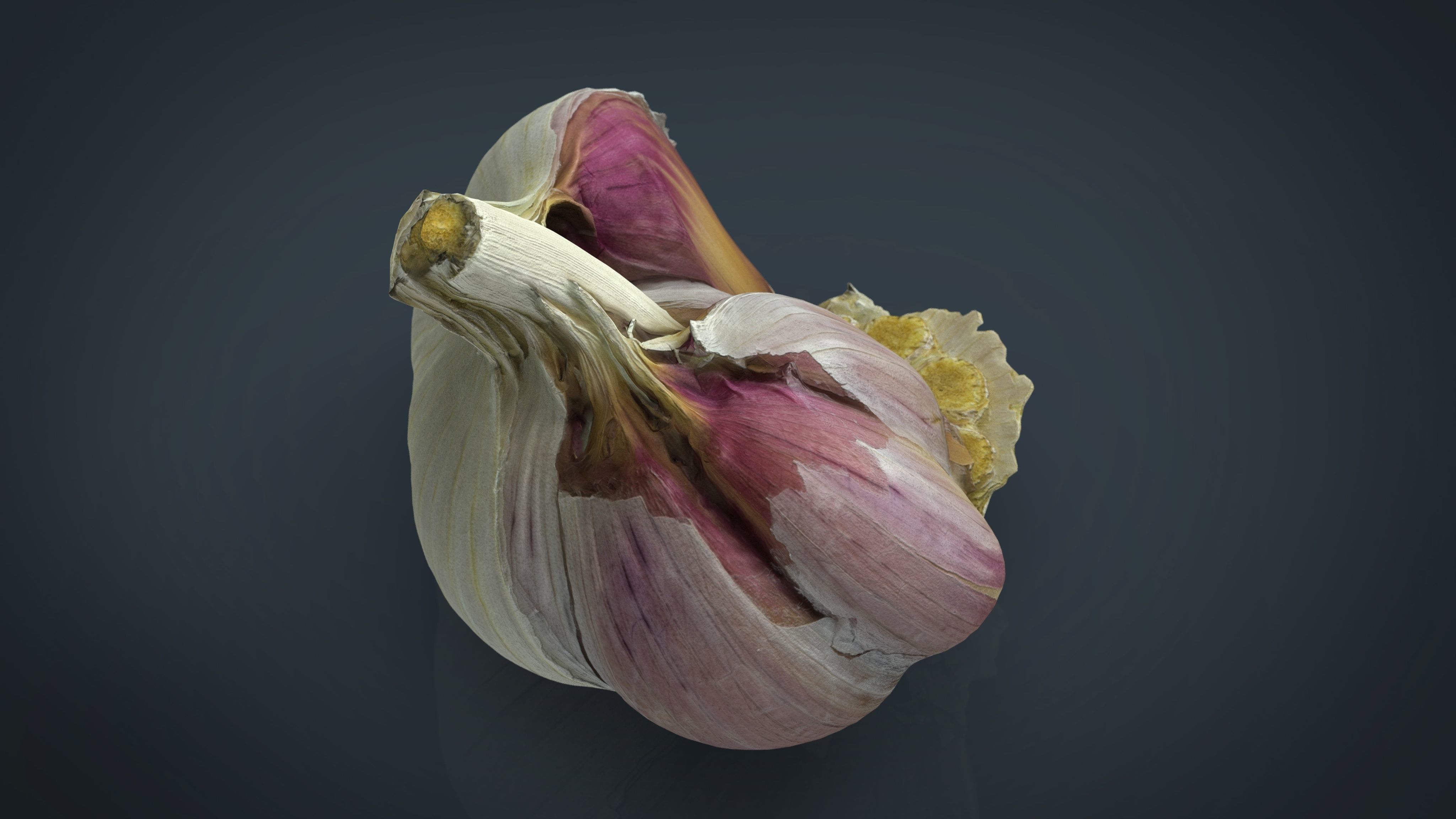 Open garlic Low-poly 3D model_2