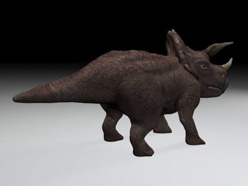 Triceratops dinosaur Low-poly 3D model_4