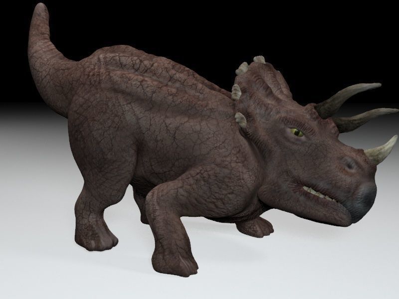 Triceratops dinosaur Low-poly 3D model_7