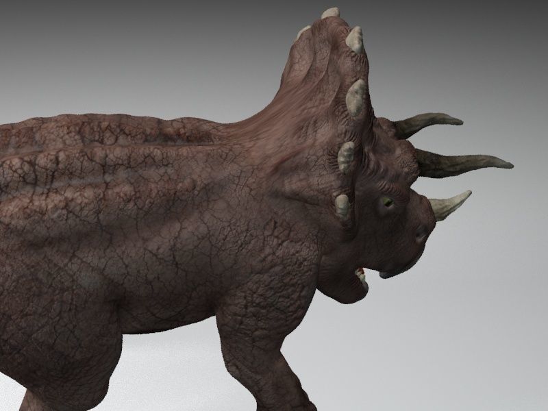 Triceratops dinosaur Low-poly 3D model_5