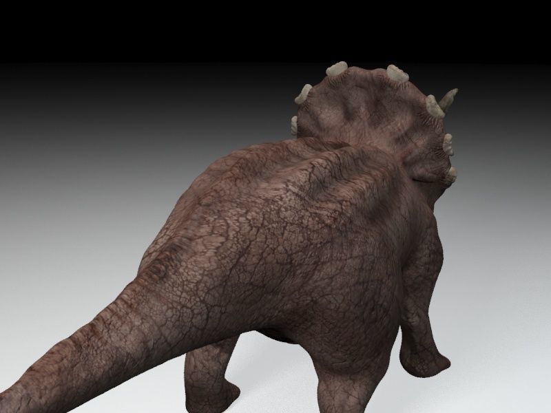 Triceratops dinosaur Low-poly 3D model_3
