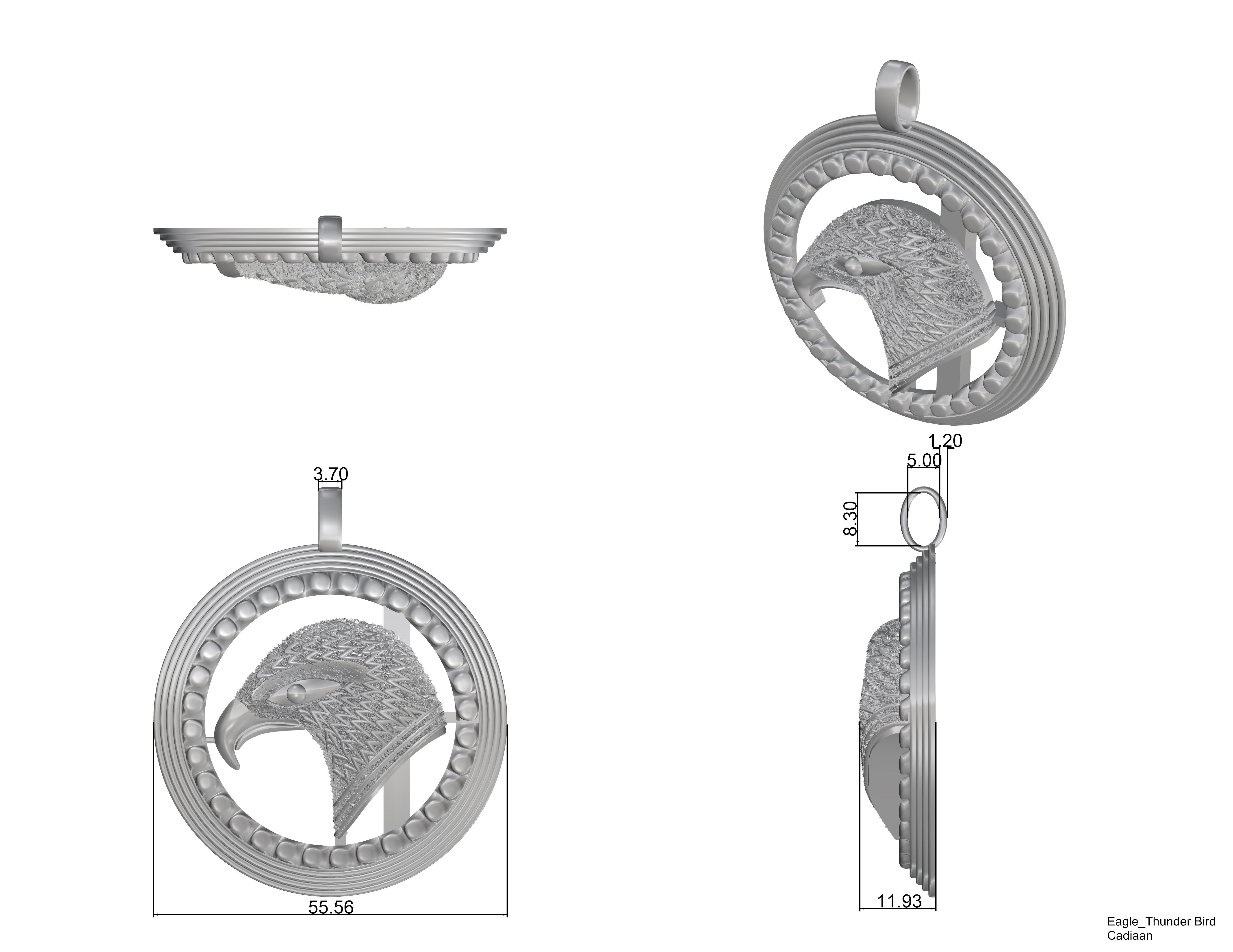 The Thunder Bird 3D print model_5