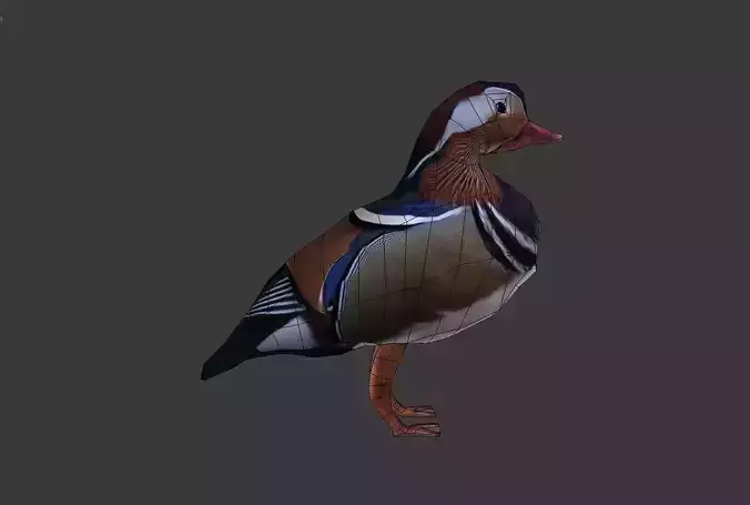 Mandarin duck 3d Low-poly 3D model