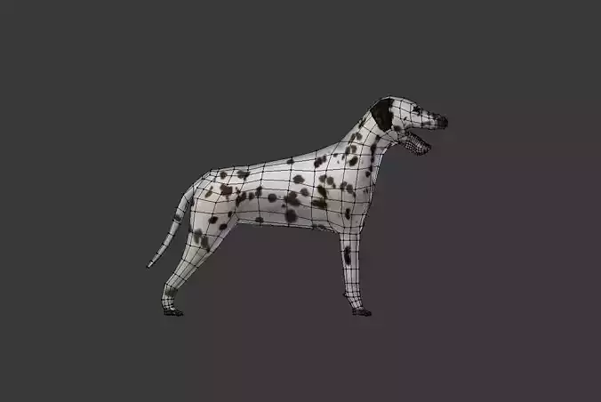 Dog 3D dalmatian Low-poly 3D model