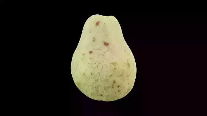 Guava Fruit 3D model 4