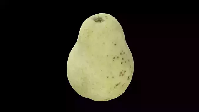 Guava Fruit 3D model 7