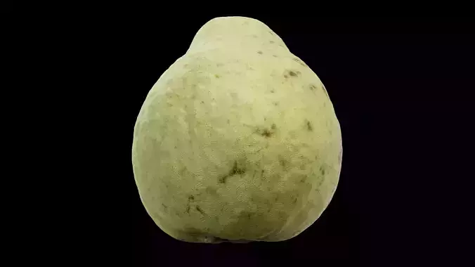 Guava Fruit 3D model 2