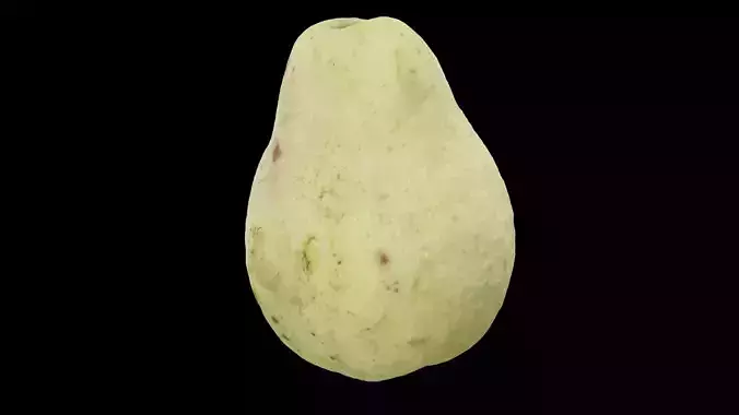 Guava Fruit 3D model 3