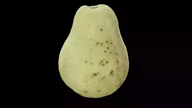 Guava Fruit 3D model 5