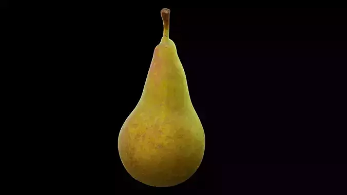 Green Pear Fruits 3D model 4