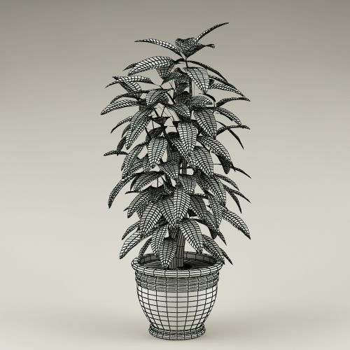 Plants Collection Vol 4 3D model_12